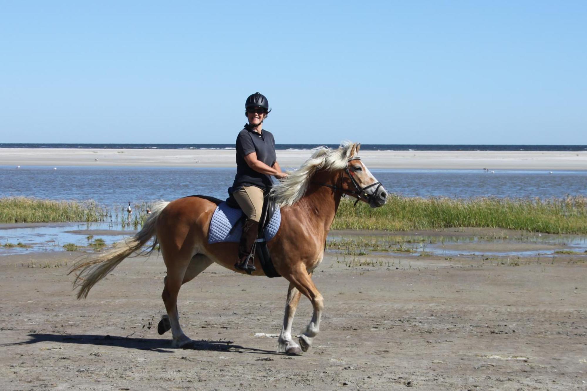 Naar Zee Op Ameland Бюрен Экстерьер фото